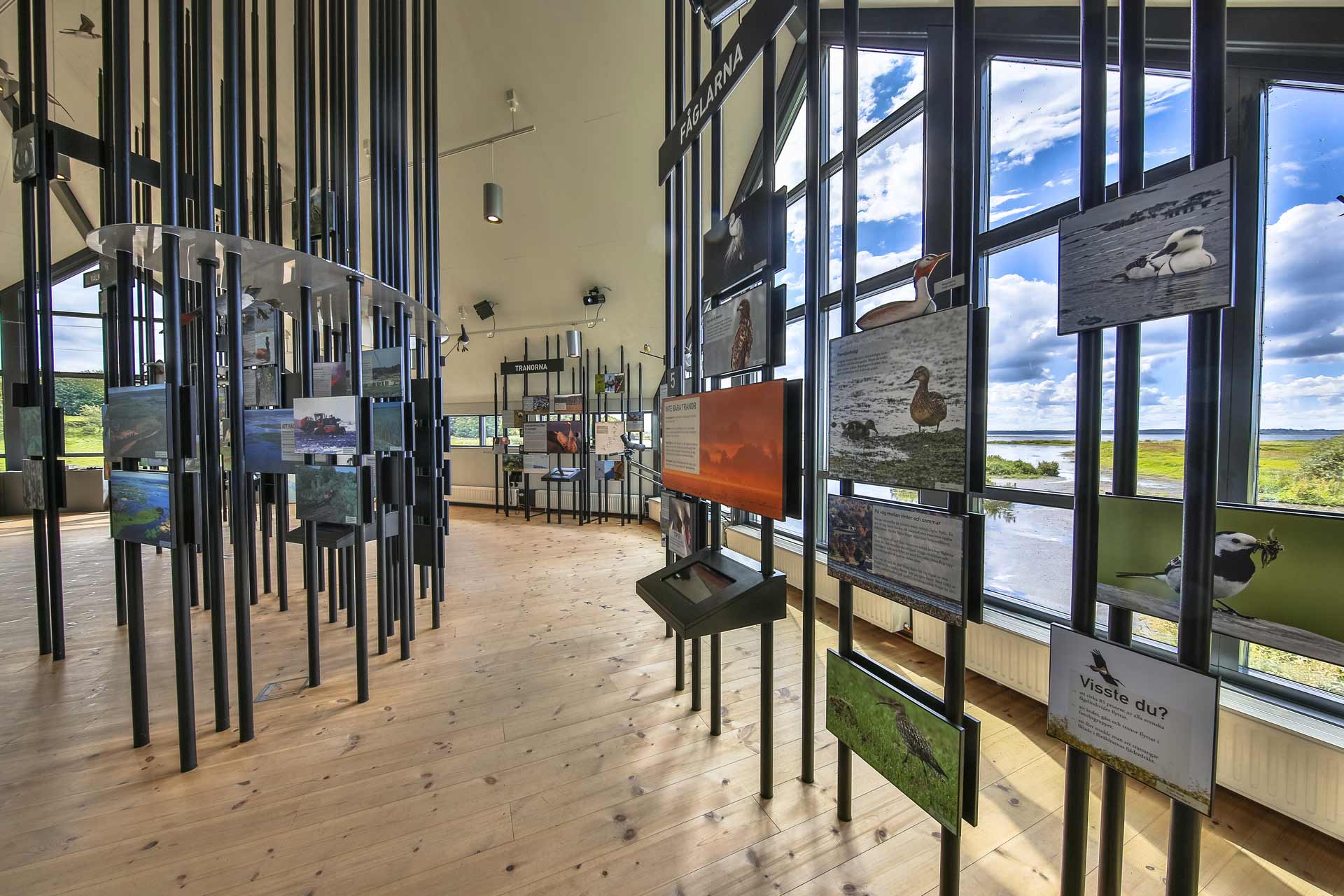 Ferruzzano, borgo del benessere: il progetto
